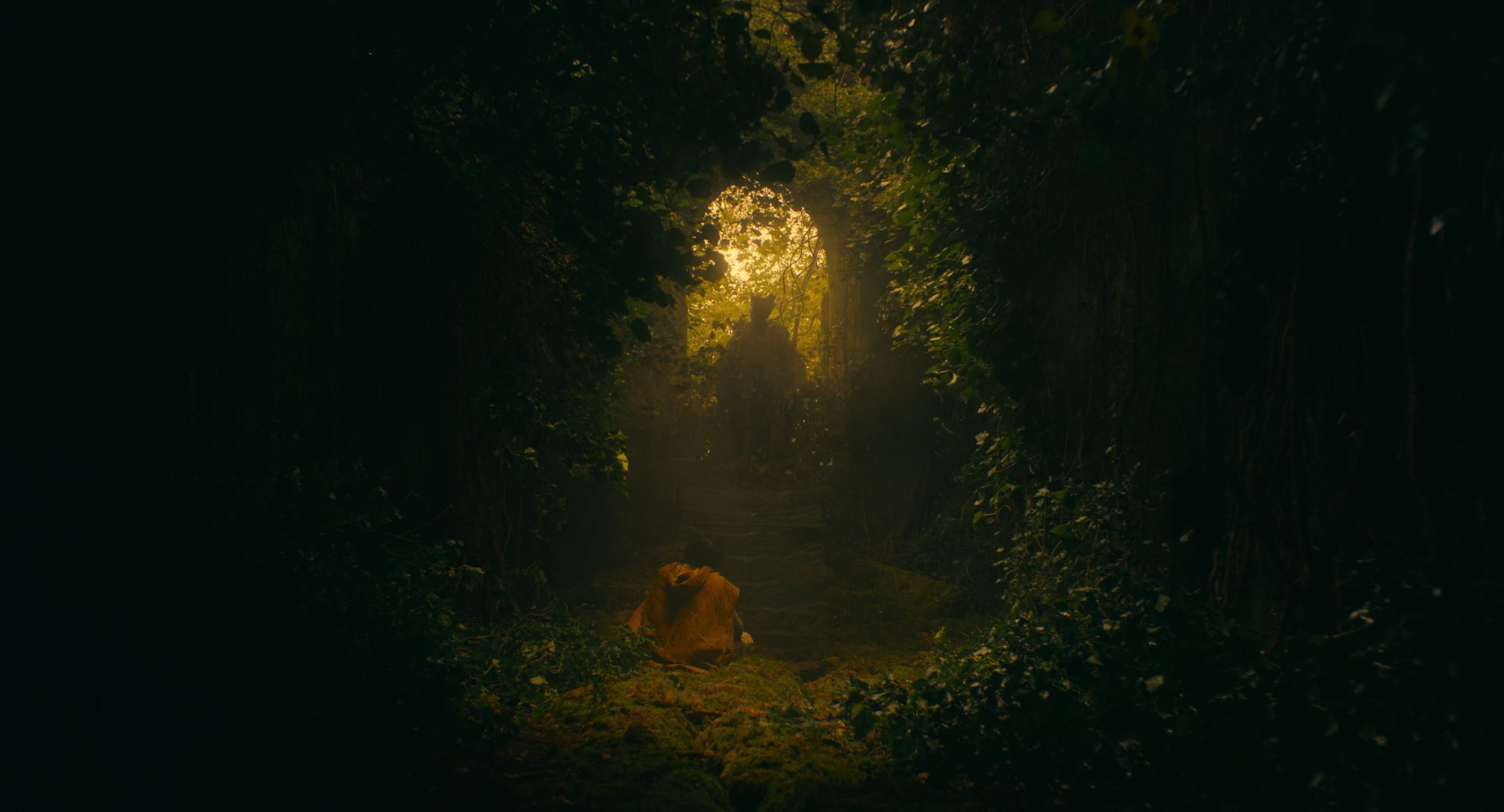 A screenshot from A24's Green Knight film. The left and right of the shot are dark, but framed in the center is dimly lit greenery forming a rough triangle. orange light comes in from a window in the background, silhouetting the Green Knight sitting in a throne and Gawain in the middle ground kneeling before him, back facing us.